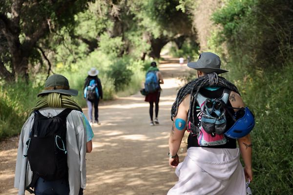 Rear view of four hikers with backpacks and climbing helmets walking down a shaded dirt trail through dense trees